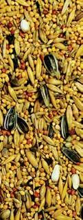 Yellow Millet, Canary Seed, Black Millet, Oats, Pellet, Black Sunflower Seeds, Buckwheat, Linseed, Nyjer Seed, Panicum Millet, Small Dark Stripe Sunflower Seeds, White Sunflower Seeds, Carrot