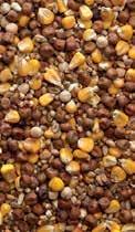 RACING PIGEON FOOD ALL YEAR ROUND MIXES BEST ALL ROUND HIGH PROTEIN ECONOMY Excellent all round formula Includes hempseed oil