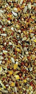 Wheat, Safflower Seed, Panicum Millet, Hempseed, Japanese Millet and Nyjer Seed.