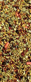Enriched with black sunflower seeds 100% pure and natural For use all year round Attracts a range of popular garden birds Composition: Kibbled Maize, Pinhead Oatmeal, Red Millet, Naked Oats, Kibbled