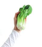 What do you like about the flavor and texture of bok choy? It is basically a very subtle, sweet-flavored cabbage.