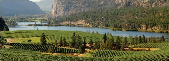 Ok Falls Sub- Geographic Indication November 2017 Technical Description and Geographic Extent Documentation in support of a formal application to the BC Wine Authority