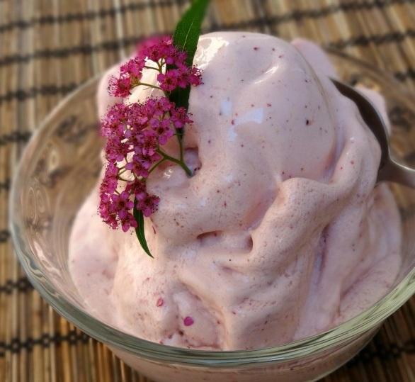 Dairy Free Blender Ice Cream Submitted by: Healthy Living How To Serves: 4 Cooking Time: 40 Minutes Non-Dairy 12 homemade almond milk ice cubes 1/4 c.