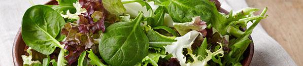 Salads Enjoy a lighter meal with our fresh made garden salads, prepared with homemade dressings and fresh greens.