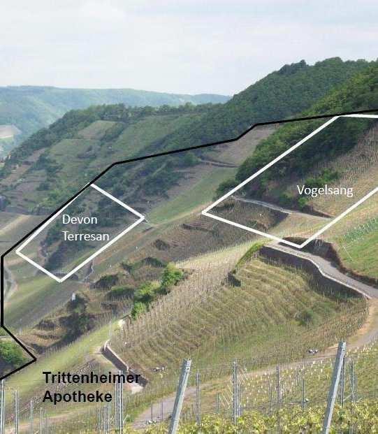 The single vineyard: Trittenheimer Apotheke Trittenheimer Apotheke (Kabinett, Auslese, BA, TBA): Spätlese, Apotheke is pharmacy in English and is one of the most famous vineyard in Middle Mosel.