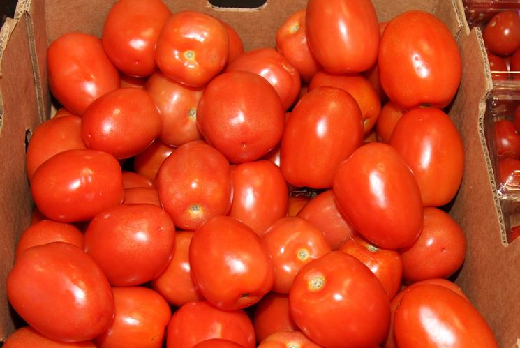 Markets are steady. Roma Tomato prices markets remain very promotable again this week with little to no change.