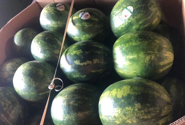 ..................................................................... CV WATERMELONS CV STRAWBERRIES & BLUEBERRIES CV SWEET CORN Watermelons are back in stock from Florida!