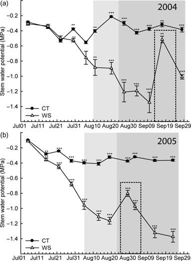 Water deficit and anthocyanin biosynthesis in grapevine 1385 Figure 2. Plant water status of vines subjected to differential water regimes during summer 2004 and 2005 in WS and CT vines.