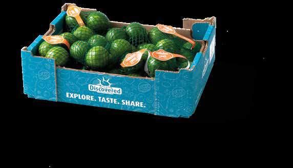 LIMES Most consumers use lime a a flavoursome ingredient in cooking. It gives dishes, drinks and sauces a fresh, zingy taste.