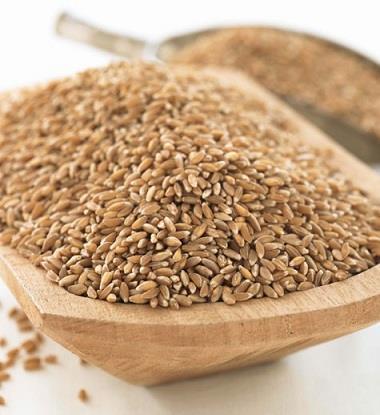 As a newer grain trending, the most common questions asked about the grain are Where can I find farro? and, How do I cook it? Lucky for you, Hy-Vee now has its very own line of ancient grains.