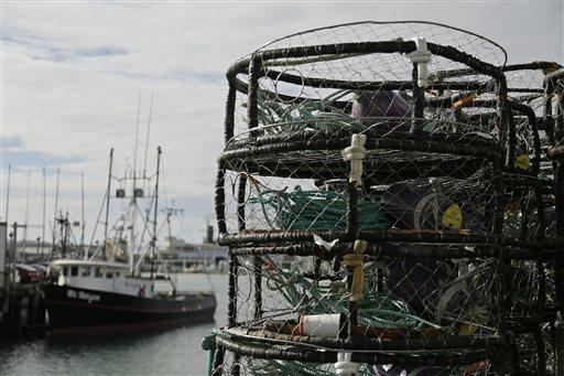 Crab from the Northwest and Alaska can still be found in many restaurants and stores, including the wharf, and health officials say that crab is safe to eat. (AP Photo/Eric Risberg) In this Nov.