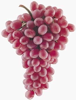 or Red Seedless Grapes $1 9 Source of