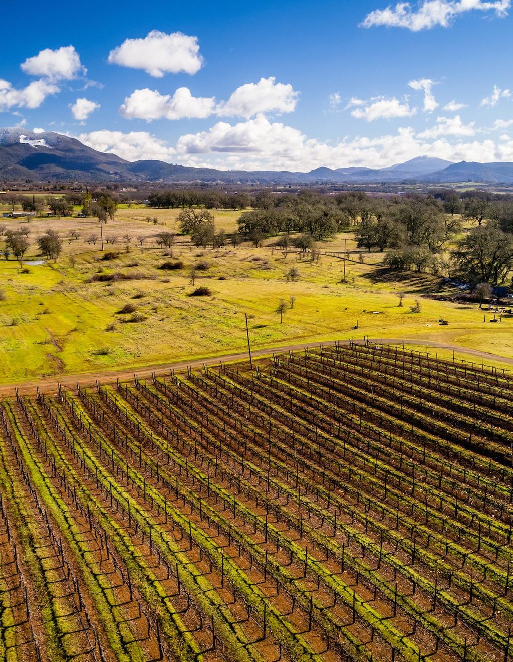 Located four and one-half miles south of Lakeport and set in the evening shadows of the Mayacamas Mountains, this Ag zoned 86-acre ranch is home to 42+/- acres of vineyard and an additional 24+/-