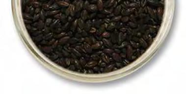 BREWER S SPECIAL Viking Pearled Black Malt Pearled Black Malt is produced by roasting pearled pilsner malt. Barley husk is removed by pearling before malting and roasting.