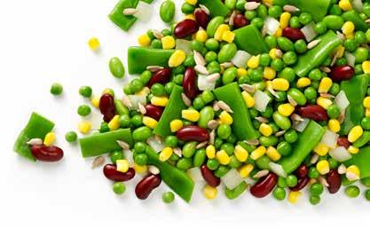 4 x 2,5kg MPC610 Festive mix This vegetable mix gives a festive feel to any meal.