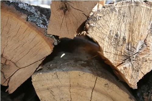 finely split, dry soft wood kindling (such as pine).