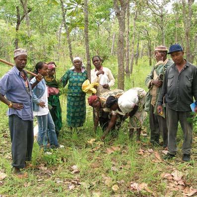 Mushroom hunting Mushroom hunting is very popular mainly amongst women and children within the Selous-Niassa Wildlife Corridor (Naheno area near Likuyu Seka).