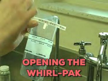 Step 1: Fill out Label and Place Label in Whirl-Pak Bee Bowls