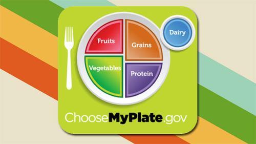 Current USDA Food Guide www.
