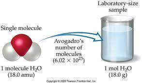 Just like a dozen is 12 things, a mole is simply Avogadro's number of