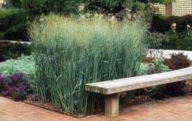 Q & A with a Registered Landscape Architect Q. Are plants suitable for use with FocalPoint limited to a specific palette? A. There is no need to create a special palette of plants.