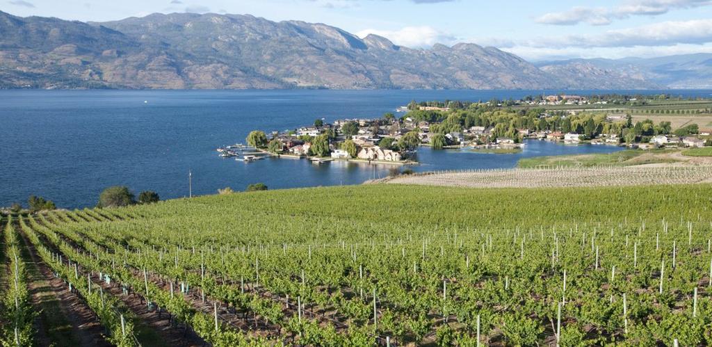 Quails Gate Vineyards Owned & Operated by Quails Gate Boucherie Mt Vineyards - Lower Boucherie Bench Approximately 1,450 degree days Closer proximity to Lake Okanagan results in a slightly cooler