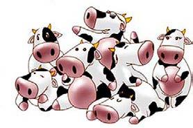 9) Looking at the picture below, the number of cows to pigs is 7:3.