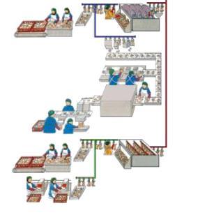 CONSUMER: CHICKEN INTEGRATED SUPPLY CHAIN FROM