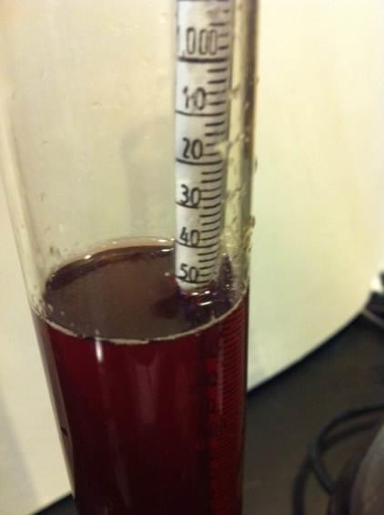 Dissolve honey in 250 mls of undiluted mead
