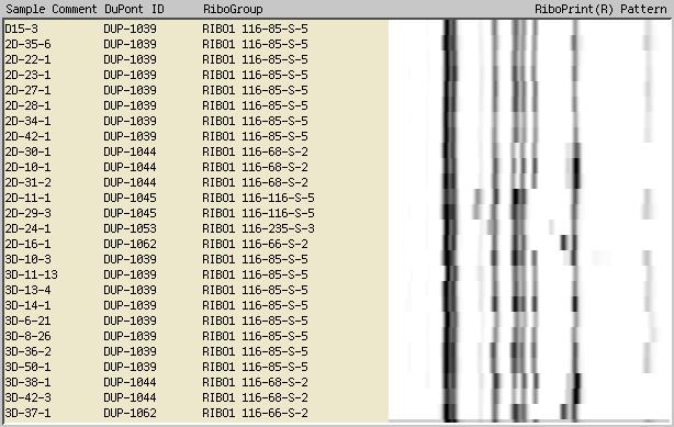 VISIT 1 VISIT 2 VISIT 3 DNA fingerprinting can identify persistence in plants Sample Ribotype Sample Source Sample Source RiboPrint Pattern * 1039C (E) Floor drain, raw materials area * 1039C (E)