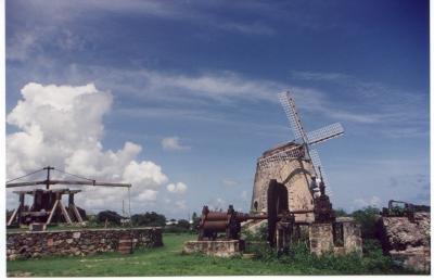 Sugar plantations were complex investments because they had to be a factory in addition to a farm (freshly cut sugar canes need to be crushed within a few hours to extract sap).