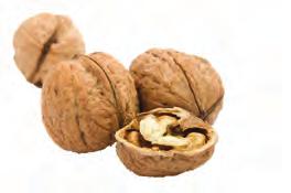 40 CODE: 256 Cashew Nuts PRICE: 14.80 11.