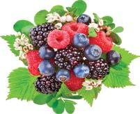 Very Good Source of Vitamin C and Manganese Blueberries (pint),
