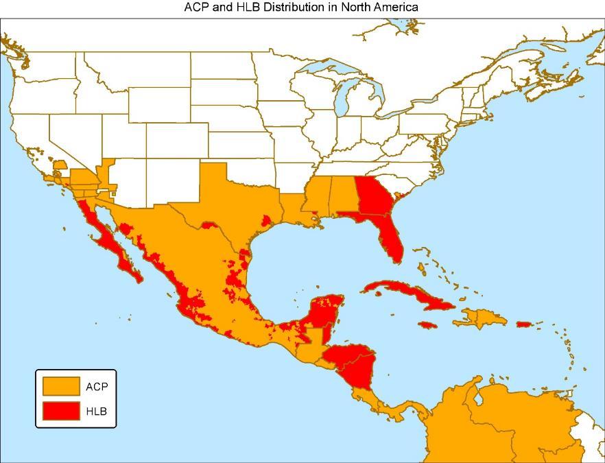 How did the psyllid get to California and where is the disease?