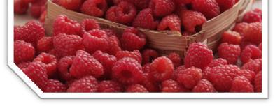 Lastly, raspberries contain a lowcalorie sugar called xylitol which absorbs more slowly in