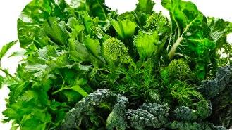 10 DELICIOUS WAYS TO EAT YOUR GREENS Eating all vegetables is important, but the real emphasis should be on the green vegetables. If it s green, it s probably (most definitely) good for you.