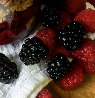 Fresh berries and your favorite granola are all you need to bring some sweet dessert along for your busy day!
