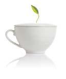 20910 4 CASE PAC sontu teacup & saucer A wide rim handblown glass cup that sits on