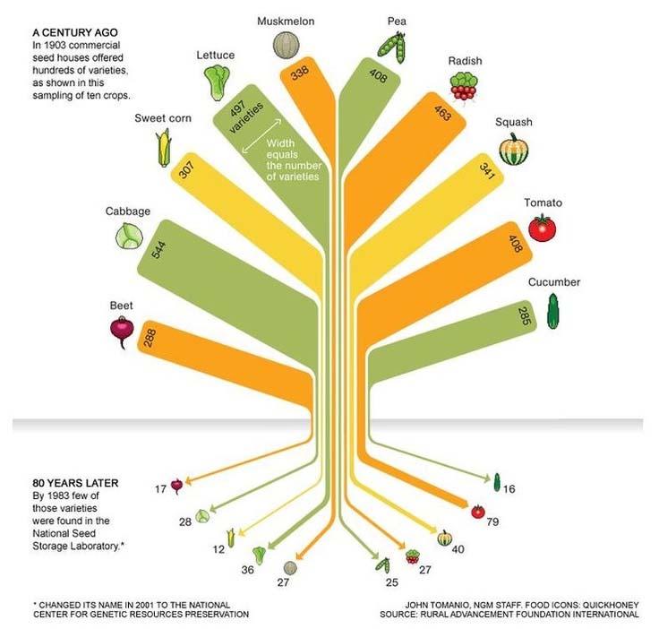 Importance of Seed Saving To retain biodiverse and locally adapted crop varieties before they go extinct ( ecovars ) Returns autonomy to families and communities by allowing access to seeds for