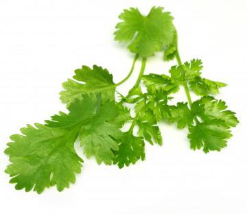 Drink Options 1 bunch Parsley 4 cups Water Parsley Tea Begin boiling water. Place parsley leaves in the bottom of your mug. Pour water over parsley and let it steep for 5 minutes.