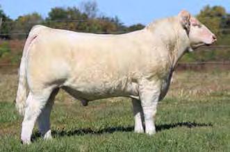 CLASS 2 Nominations 12-20 LJR WIA MR WHITE COLLAR 10/28/2014 M859472 POLLED PC MAN OF THE HOUR 10/3/2014 M855382 POLLED 19 20 SPARROWS MADRID