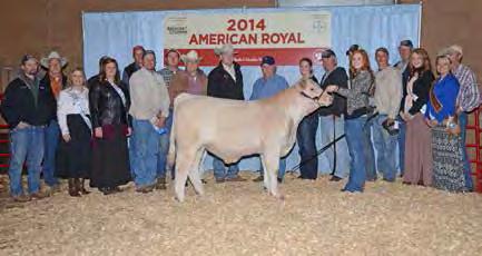 1 Nominated by Peoples Charolais, Leonard, MO (660) 651-6501 Royal Breeders Bull Classic $10,000 Guaranteed Prize Money!