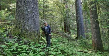 Pinchot National Forest in Washington Lost 27 ft