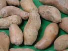 Yam Yam is the common name for members of the genus Dioscorea. There are more than 600 species of yams. They are used in a similar fashion to the potatoes and sweet potatoes.