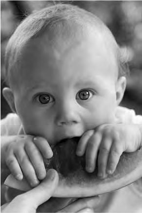 Infant Foods Fruits and Vegetables Serve only 100% fruit and/or vegetables. You may puree, mash or cut up your own fruits and vegetables.