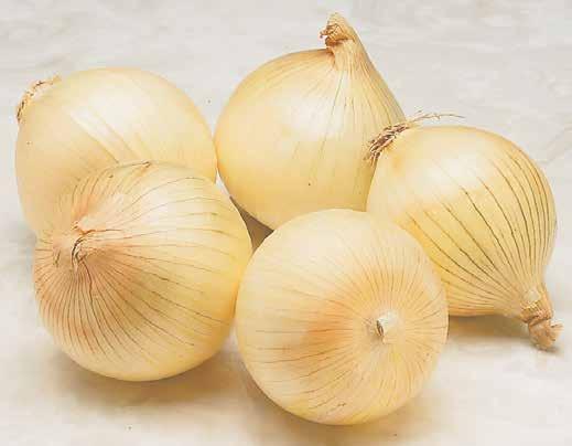 Onions Garden Russet Potatoes