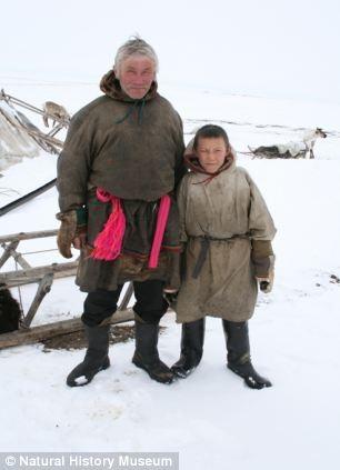 The remains of the mammoth were found by reindeer Yuri Khudi and his sons, left, while they were gathering firewood.