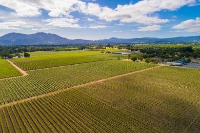 Big Valley AVA Vineyard Table of Contents Salient Facts...3 Property Overview...4 Photo Gallery.