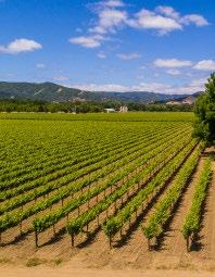 The Big Valley AVA Vineyard Ranch is one of California s premier North Coast commercial farm operations, blending high quality fruit with investor grade returns.
