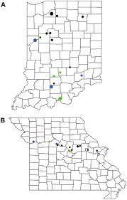 DISTRIBUTION OF AMBROSIA BEETLES BARK BEETLES, AND WEEVILS IN INDIANA AND MISSOURI IN 2011 Black